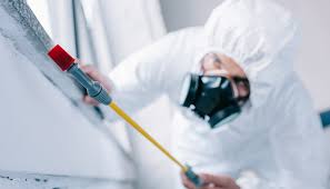 Pest Control for Hotels in Freer, TX